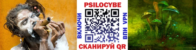 Псилоцибиновые грибы мицелий Ермолино